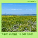 하모리-40 | 가파도 청보리축제 배시간 자전거 4월 5월 제주도 가볼만한곳