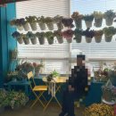 나드리펜션 | 비추!! 나드리 사진관 가족사진 80만원 넘게 쓰고 돈날린 후기