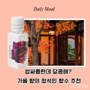 흙내음풀내음 | 쌉싸름한데 달콤해? 키에린 뉴욕 니트로 누아르, 가을 향의 정석일까?