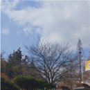 백구파출소 이미지