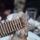 황태구이다래