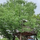 농부네텃밭민박 이미지