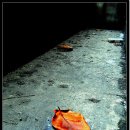 웰빙생활용품 이미지