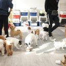 굿독 이미지