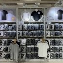 월드 베이직