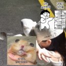 한우리독서실 | 10월 결산