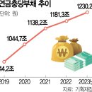 한국 국가부채 현황 이미지