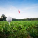 파온스크린골프 이미지