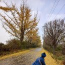 아라메길(4) | 백제의 미소 - 서산 용현리 마애여래삼존상