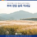 장암 송죽 억새길 이미지