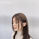 송파구 가락동 미용실 맥스헤어 가격 오시는길 후기