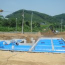 제주시농협서부주유소 이미지