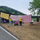 붕붕카클리닉 이미지