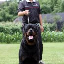 쥬쥬클럽 이미지