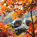 회천2동 무료경로식당 | 화담숲 단풍 모노레일 화담채 가을여행 지각 입장 아이와 다녀온 후기