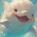 벨루가 이미지