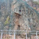 지방도 49호 이미지