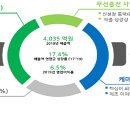 크린제이 씨티(C.T)산업 | 켐트로닉스 089010