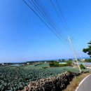 신엄중학교 이미지