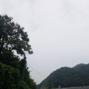 새라