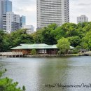 일복빌딩 | 도쿄 가볼 만한 곳 도심 속 고요한 오아시스-하마리큐 정원(Hama-rikyu Gardens) 여행 후기