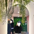 17. 담력학원 - 비밀의 화원 전주점 [전주]