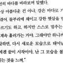 모범카츠