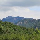 조령상회 이미지