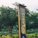 LG전자경주 | 안 보면 후회하는 경주 밤 풍경 동궁과 월지 화려한 조명 속 산책길 투어