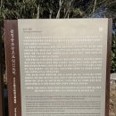 충렬어린이집 | 조광조 선생 묘 및 신도비