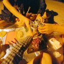 욜로인 게스트 하우스 이미지