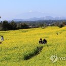 그루밍제주 이미지