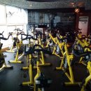 킹 휘트니스 이미지