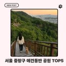 옹기테마공원 | 중랑구 강아지 산책코스 추천! 실제 다녀온 반려동물 가능 공원 BEST5!