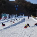 엘리시안 강촌 스키장 이미지