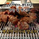 이가네양꼬치평촌역 | 평촌역 맛집 이가네 양꼬치 내돈내산 후기 : 냄새 걱정 싹 날려준 인생 첫 양갈비와 양등심꼬치 영접 기록