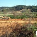 영농조합법인 행복한 타조농장 이미지