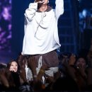 팀 (T. I. M)