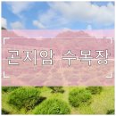 곤지암1배수펌프장 | 경기광주 곤지암 수목장 선택 기준 이것만 보세요