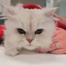 메디컬트리 이미지