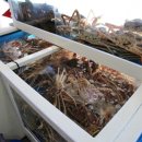 착한대게 이미지