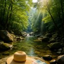 산내부운계곡세천 | 📷 사진이 다했다! 대전 근교 계곡 감성 포토스팟 지도 &amp; 인증샷팁