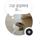 사랑은 여러 개의 모양으로 나뉘어