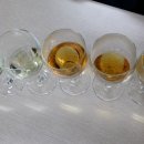 보이차&홍차 티 소믈리에 이미지