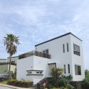 달콩 제주 이미지