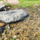 겸재정선미술관 화장실 이미지