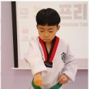 사랑하는 태권도 이미지