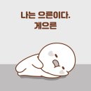 오늘도 닭 네이버블로그