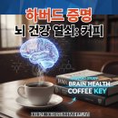 시너지커피 - 동작구 노량진로6길 2 | 시너지커피
