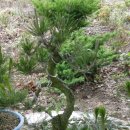 방죽골농장 이미지